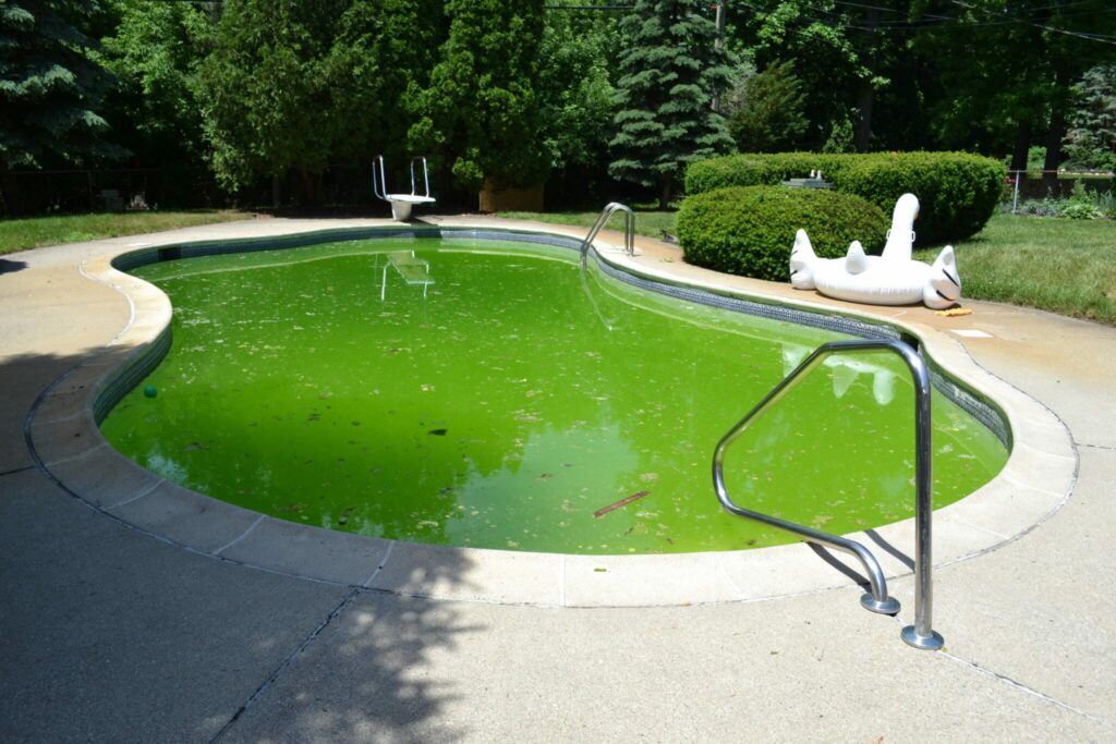green pool cleaning service jacksonville fl